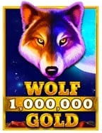 เทคนิคยิง ปลา ส ตา เว กั ส ง่ายๆ ทำกำไรสูงสุด